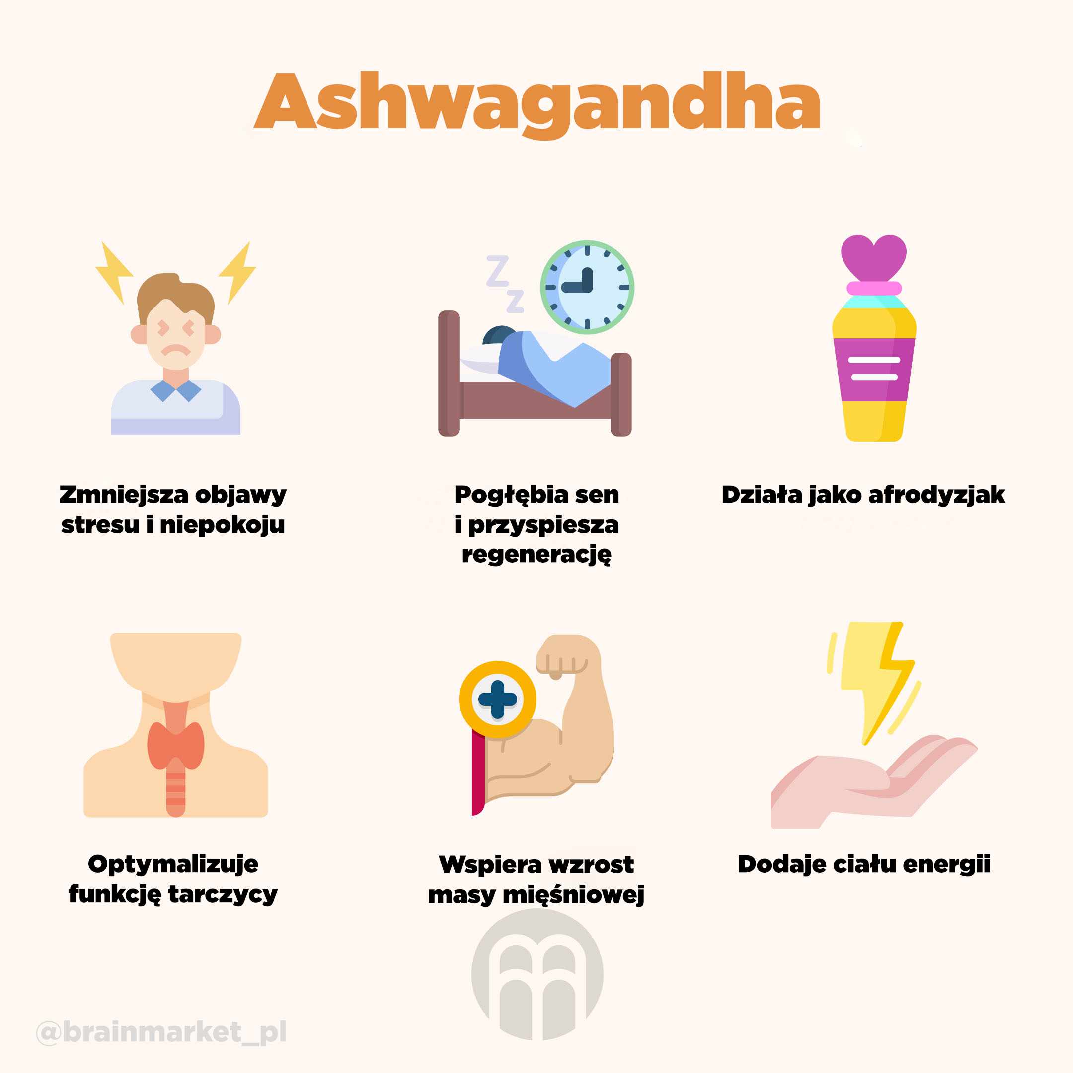 Ashwagandha_infografika_brainpedia_pl